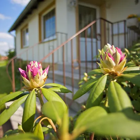 Διαμέρισμα Blickweite *